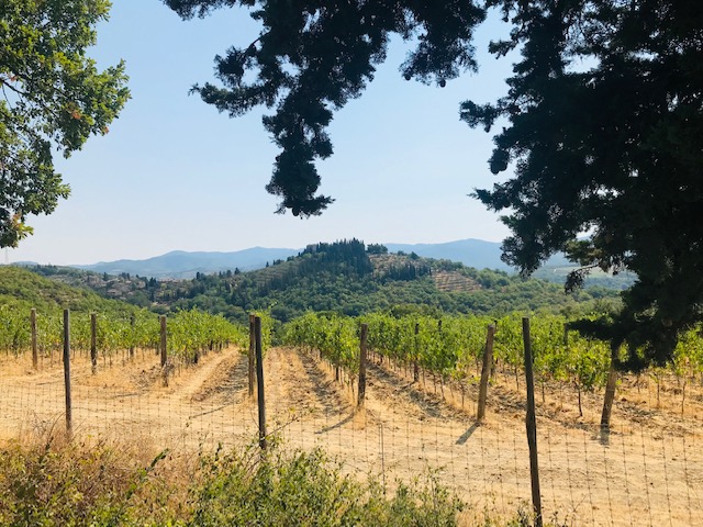 Les Grands Vins d’Italie