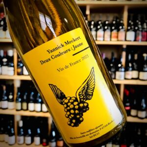 Deux Couleurs : Jaune - 2023 - Yannick Meckert